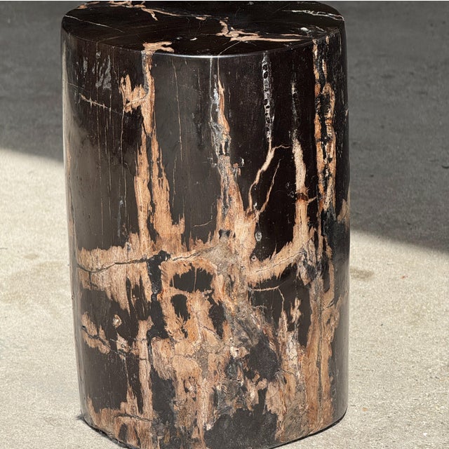 Small Side Table in Black Petrified Wood with Striates and Beige Lower Side For Sale - Image 16 of 18