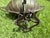 Vintage Wrought Iron Leaf Form Pedestal Centerpiece Bowl For Sale - Image 10 of 12