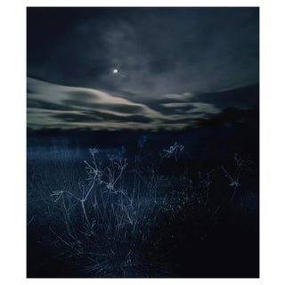 Stay A While 2023 For Sale