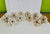 Vintage Victorian Style (Rose Motif and Gold) Porcelain Curtain Tiebacks - A Pair For Sale - Image 10 of 10