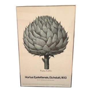 1980s Museum Botanical Art Poster – Fructus Artischi For Sale
