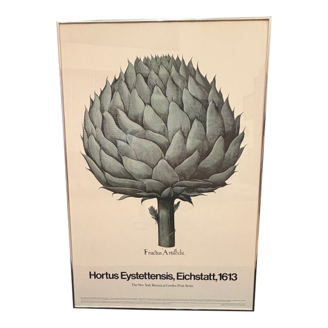 1980s Museum Botanical Art Poster – Fructus Artischi For Sale