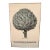1980s Museum Botanical Art Poster – Fructus Artischi For Sale