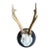 Roe Deer Trophy 207 Black Forest Antlers For Sale