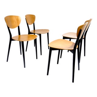 Vintage Swiss Chairs by Kurt Thut, 1953, Set of 4 For Sale