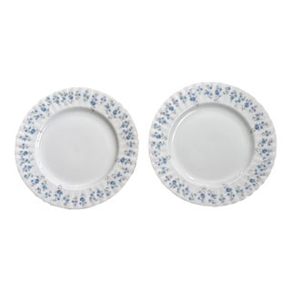 Vintage English Royal Albert 'Memory Lane' 8 Inch Plates, Set of Two For Sale