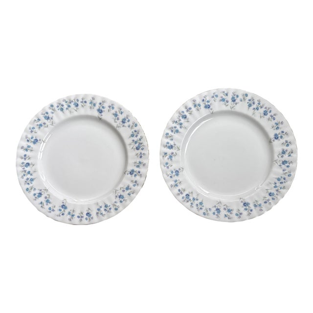 Vintage English Royal Albert 'Memory Lane' 8 Inch Plates, Set of Two For Sale