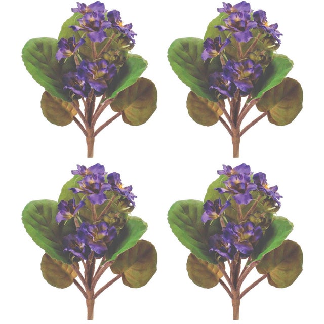 Rustic African Violet Flower Bush (Set of 4) For Sale - Image 3 of 3