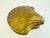 Vintage Mid Century Brass Scallop Shell Hinged Decorative Box For Sale In Little Rock - Image 6 of 10