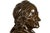 French Antique Bronze Sculpture “Bust of Voltaire” After Jean-Antoine Houdon For Sale - Image 10 of 18