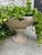 Mid 20th Century Pair of Unique Concrete Planters, France For Sale - Image 9 of 13