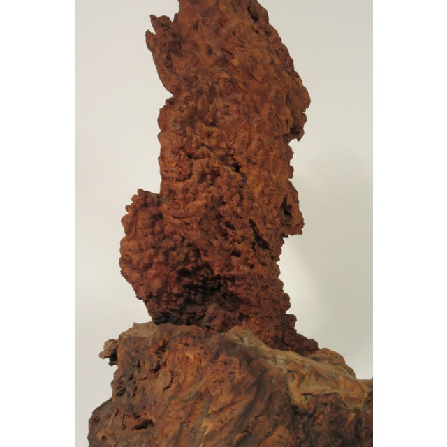 1960s Driftwood Sculpture For Sale - Image 9 of 13