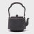 "Fanning the Fire" Antique Japanese Iron Teapot, C. 1920s For Sale - Image 9 of 9