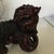 Asian Pair of Early 20th Century Hand Carved Foo Dogs For Sale - Image 3 of 9