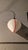 Vintage Wall Lamp by Roberto Pamio for Leucos, 1960s For Sale - Image 10 of 18