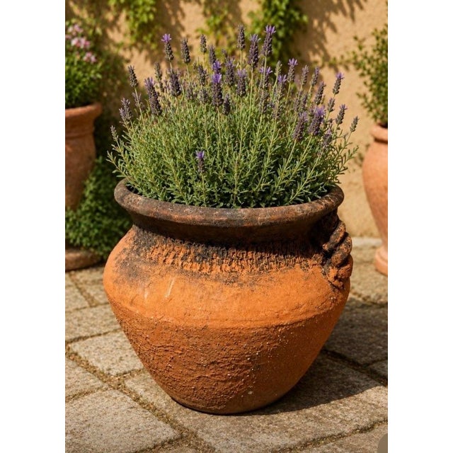 Vintage Mediterranean Terracotta Garden Planter with Applied Handles & Aged Patina A beautifully weathered vintage...