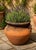 Vintage Mediterranean Terracotta Garden Planter with Applied Handles & Aged Patina A beautifully weathered vintage...