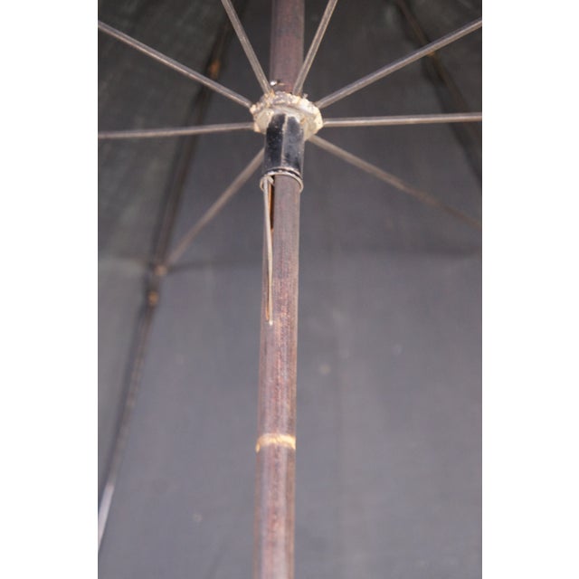 Antique Silverplate Greyhound Dog Head Black Umbrella Oak Walking Stick Cane 38" For Sale - Image 16 of 18