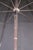 Antique Silverplate Greyhound Dog Head Black Umbrella Oak Walking Stick Cane 38" For Sale - Image 16 of 18