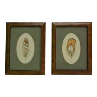"Pair X Pheasant Feathers C1998 Watercolours" by Harry Spencer For Sale