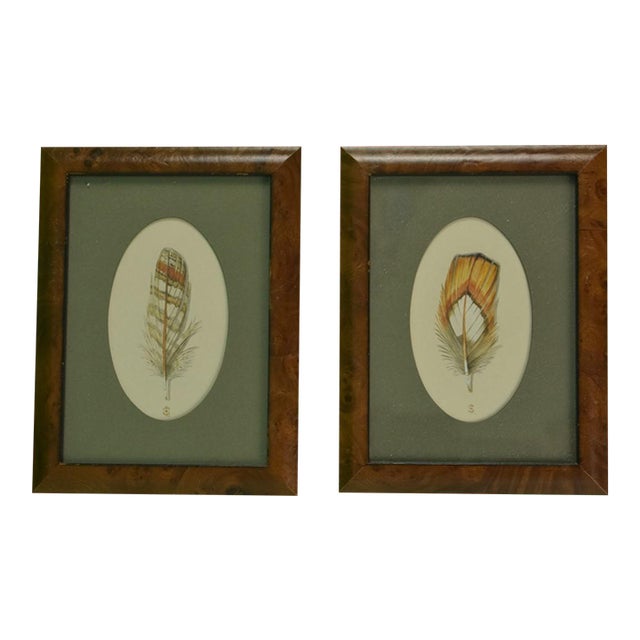 "Pair X Pheasant Feathers C1998 Watercolours" by Harry Spencer For Sale