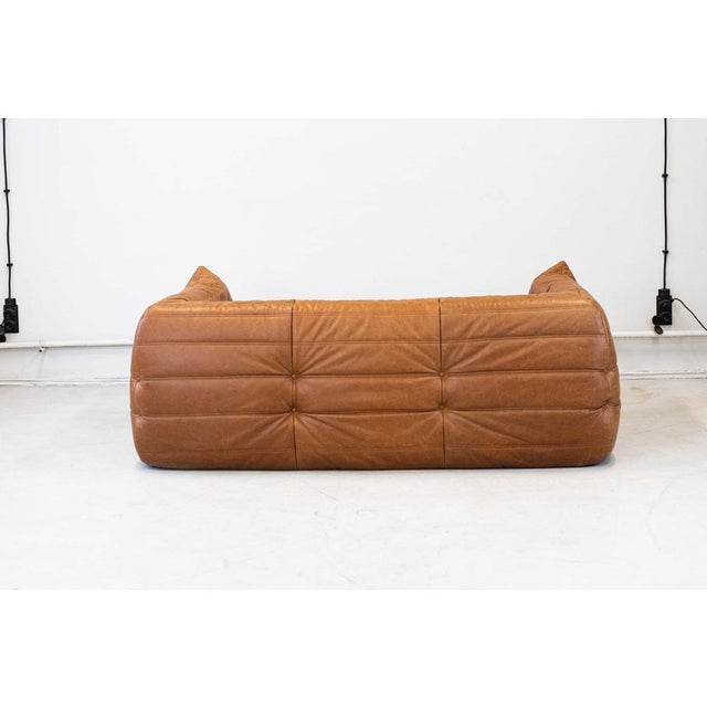 Vintage Two-Seater Togo Sofa with Arms in Brown Pine Leather by Michel Ducaroy for Ligne Roset, 1970s For Sale - Image 6 of 18