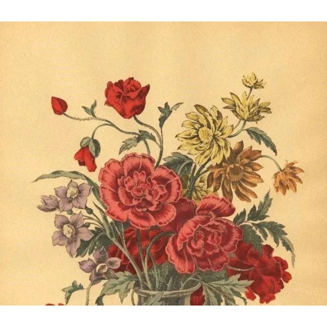 This is an original French botanical chromolithograph that dates to the early 20th century. It is done in the style of...