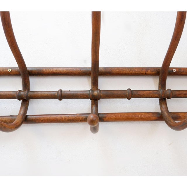 Bentwood Wall-Mounted Coat Rack For Sale - Image 4 of 12