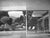 Paper "Richard Neutra on Building Mystery and Realities of the Site" 1951 Neutra, Richard For Sale - Image 7 of 9
