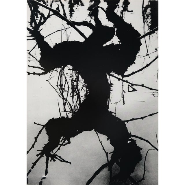 Lucien Clergue, Secret Camargue, 1960, Heliogravure For Sale - Image 7 of 7