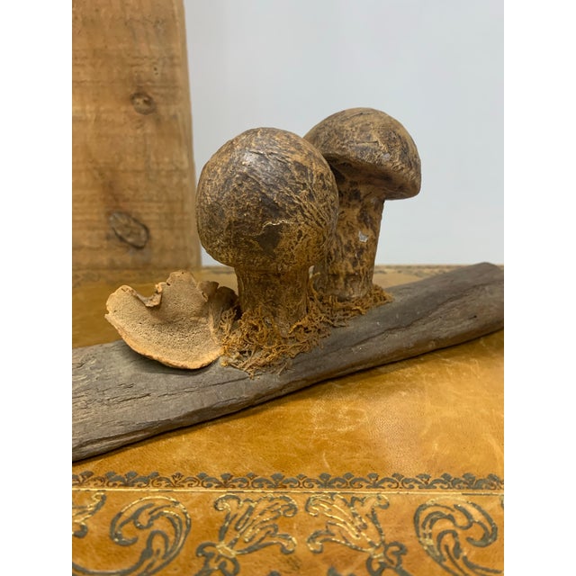 Brown Pair of Late 19th Century French Folk Art Instructional Mushroom Specimens For Sale - Image 8 of 11