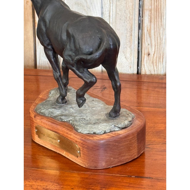Wood Mid 20th Century "Cody" Bronze Horse Sculpture by Tara Brice For Sale - Image 7 of 7