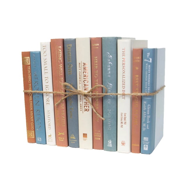 Booth & Williams Decorative Books - Sea Coral Book Bundle - 1 Foot of Blue Books For Sale - Image 4 of 4