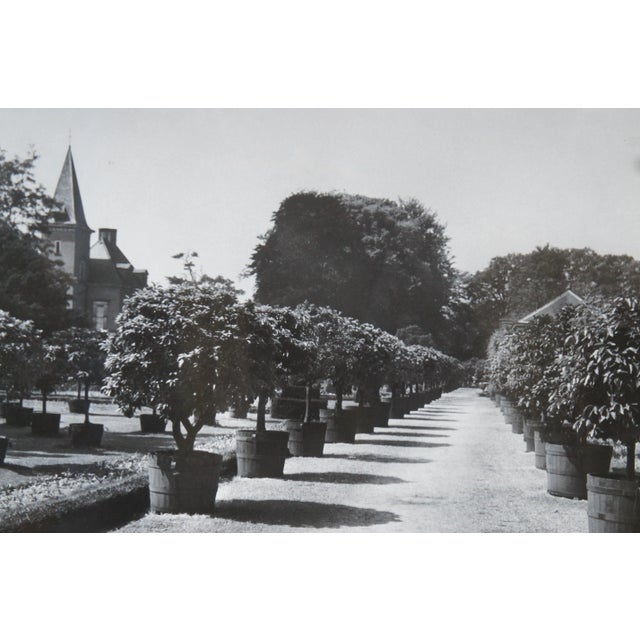 Gray Black and White Decorative Garden Photographs in Gold Frames of Castle Lion Statue - Set of 3 For Sale - Image 8 of 12