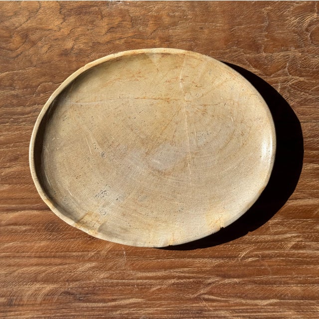 Small Oval Trinket Dish or Tray in Plain Beige Petrified Wood For Sale - Image 16 of 18