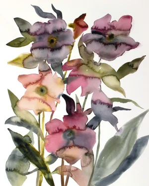 "Hellebore No. 39" Contemporary Original Botanical Flowers Watercolor Painting by Elizabeth Becker