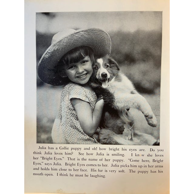 Shabby Chic 1933 Dog Book Illustration Shepard Print For Sale - Image 3 of 4