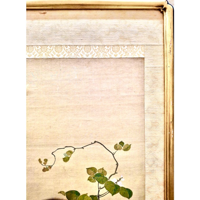 Japanese Maternal Macaque Painting by Mori Sosen (1747-1821) For Sale - Image 4 of 11