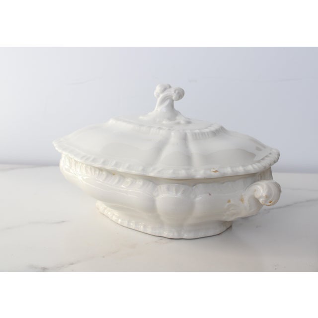 Antique Booth’s Oval Tureen From England - Circa 1900.