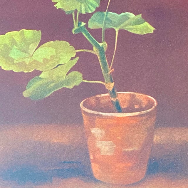 Framed Print "Geranium in a Pot" by Marcus Jacobi For Sale In Sacramento - Image 6 of 12
