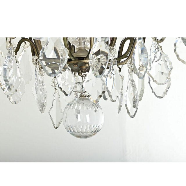 French French 19th Century Louis XVI Style Chandelier For Sale - Image 3 of 12