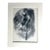 1939 Print in 11x14 Mat, Ready to Frame: Yasuo Kuniyoshi, "Tightrope Performer" For Sale