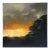 "Across the Street #15" Oil on Canvas Painting by Irma Cerese For Sale