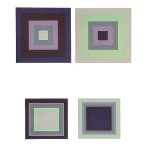 2009 Josef Albers the Interaction of Color Plate Xvi-4