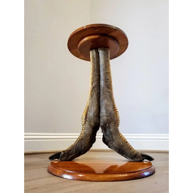 Vintage Ostrich Taxidermy Pedestal Table For Sale - Image 9 of 11