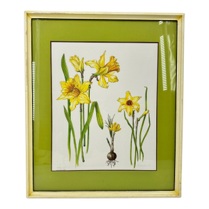 Daffodils Original Watercolor Painting by Diane Coleman, Signed 1973, Framed