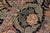 Art Nouveau Pak-Persian Black/Green Wool Rug - 10'3'' X 14'3'' For Sale In New York - Image 6 of 8