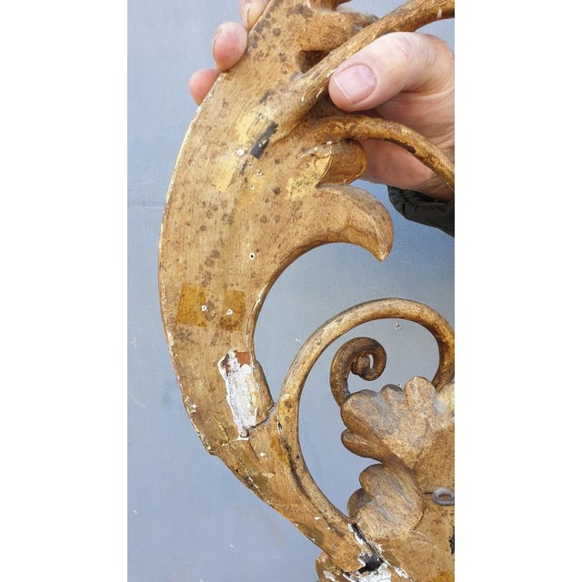 Large carved gilded wood wall light, with flower and leaves, three lights Wear, old restorations and small gilding gaps...