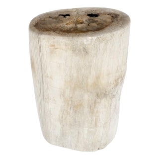 Large Beige Petrified Wood Organic Stomp Shape Stand End Side Table Pedestal For Sale
