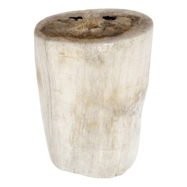 Large Beige Petrified Wood Organic Stomp Shape Stand End Side Table Pedestal For Sale